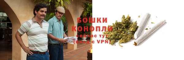 шишки Алексеевка
