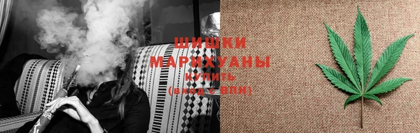 шишки Алексеевка